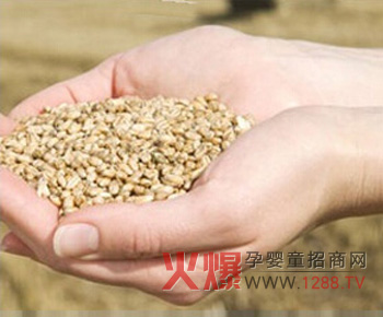 健康時(shí)光嬰童輔食當(dāng)季收獲原料