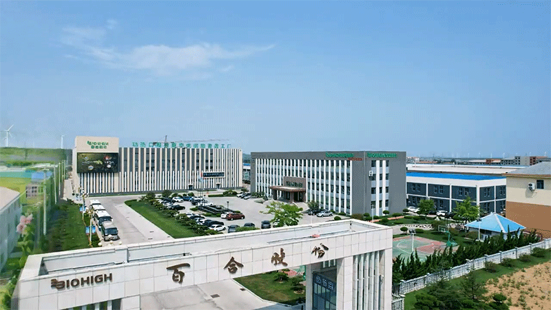 ȫٺϿG܊м(j)8ܹSȫҕ