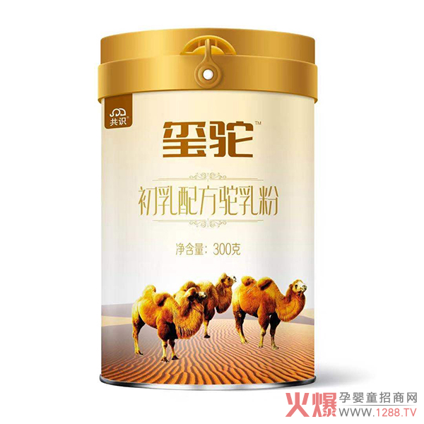 2020Ă(g)ӵ̷ۺu׌t۽o