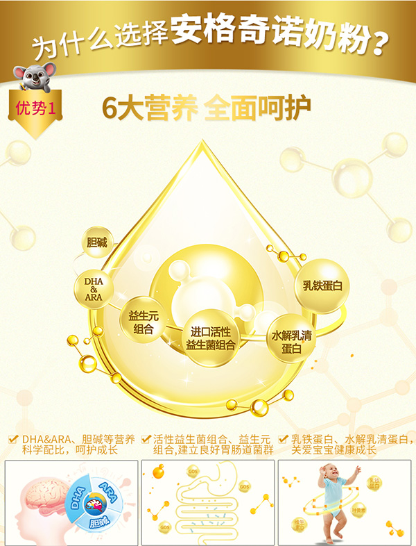 安格奇諾幼兒配方奶粉3段800g 3.jpg