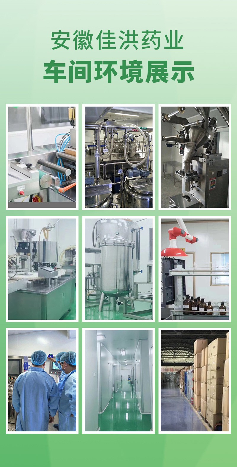 安徽佳洪健康產業(yè)有限公司 (3).jpg